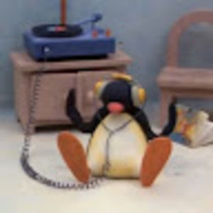 Meet your Posher, Darby